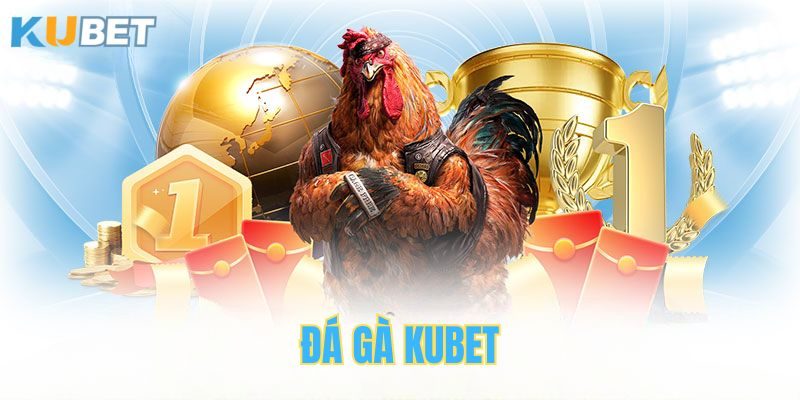 Sảnh đá gà Kubet