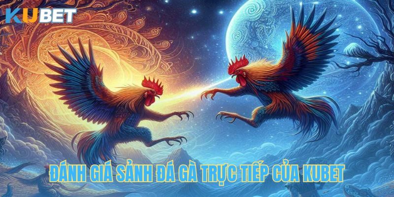 KUBET mang tới sân chơi đá gà an toàn cho hội viên