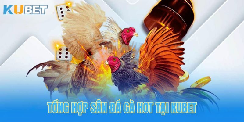 Tổng hợp thể loại đá gà HOT tại Kubet