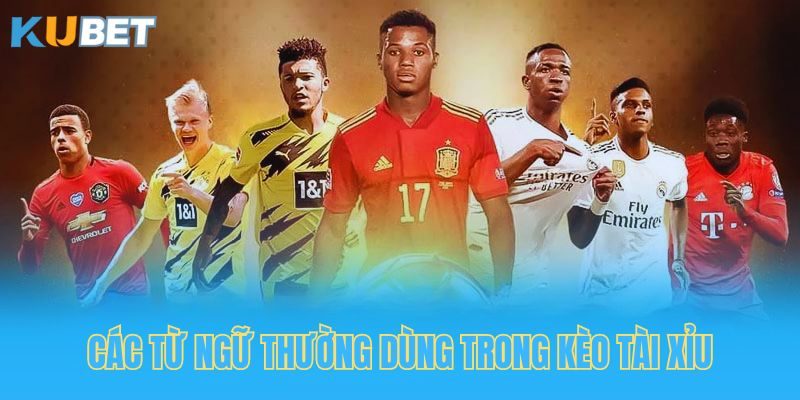 Các thuật ngữ thường dùng trong kèo tài xỉu